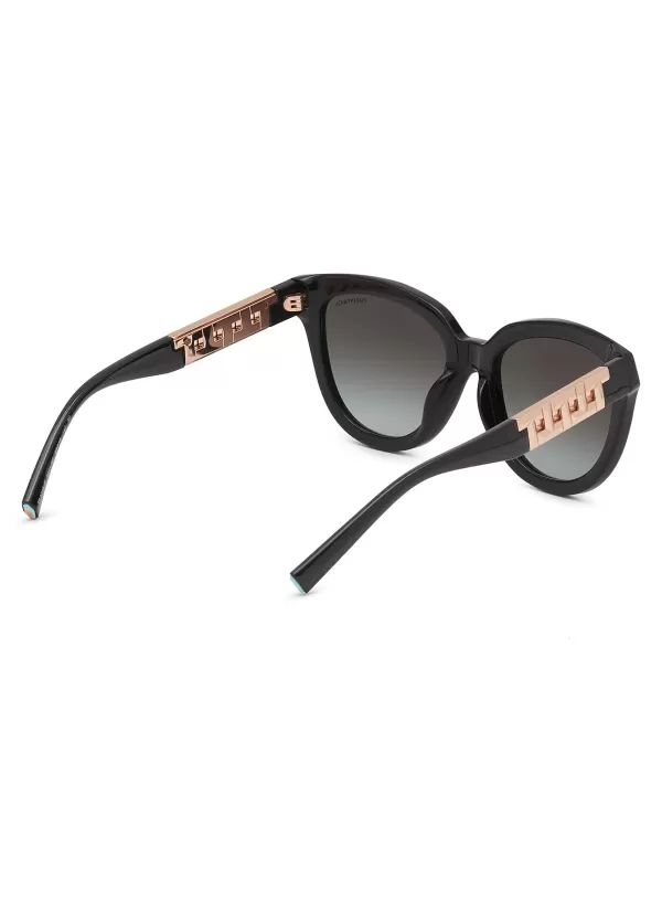 Eyewear>TIFFANY Acetate Cateye Sunglasses