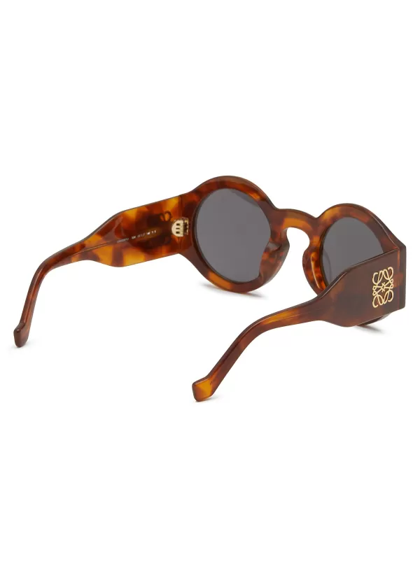 Eyewear>LOEWE Acetate Oval Sunglasses