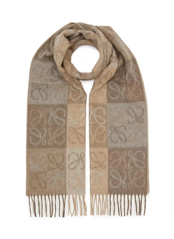 Scarves & Wraps>LOEWE Anagram Logo Scarf