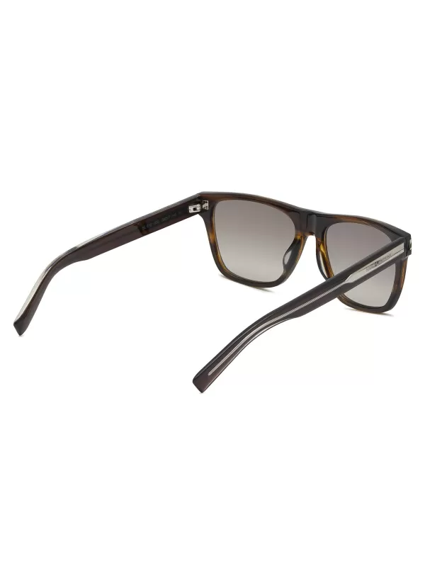 Eyewear>SAINT LAURENT Brown Panthos Acetate Sunglasses