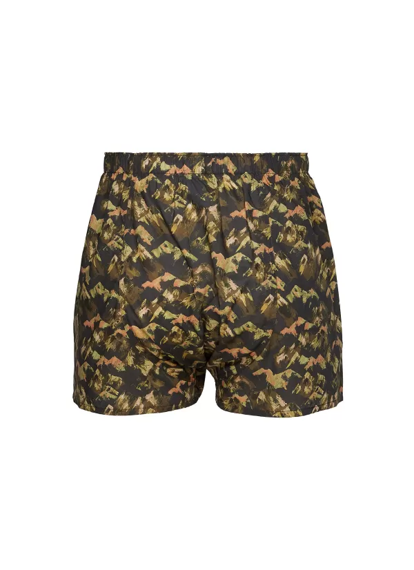 Underwear>SUNSPEL Mount Olympus Print Cotton Boxer Shorts