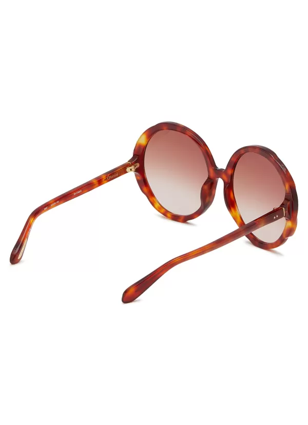 Eyewear>LINDA FARROW Octavia Acetate Round Sunglasses