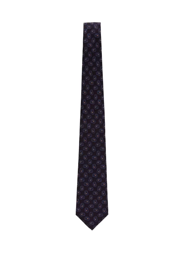 Ties>ISAIA Paisley Embroidered Silk Tie